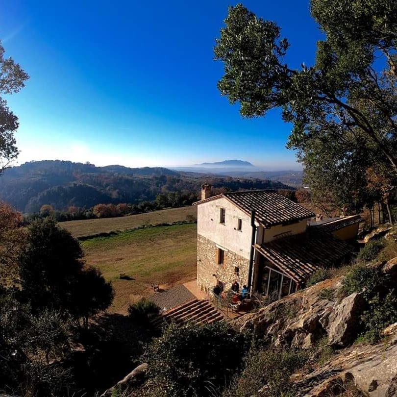 La Casa Del Tartufo Apartment Torri in Sabina Luaran gambar